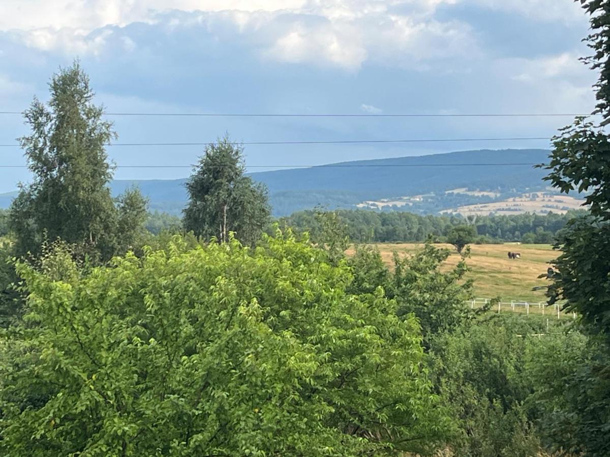 Ferienwohnung Polana Gorska Mirsk Exterior foto